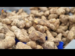 Commerciële groentenwasmachine en duurzame reiniging Restaurant Food Shop