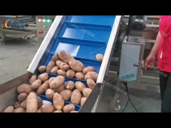 Productielijn voor vers gesneden friet