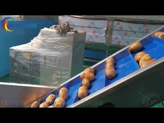 Frietjes Productielijn